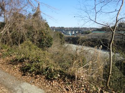 CIMG0736_convert_20120330160535.jpg