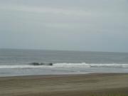 DSC09805.jpg