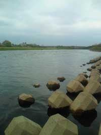 120421unane.jpg