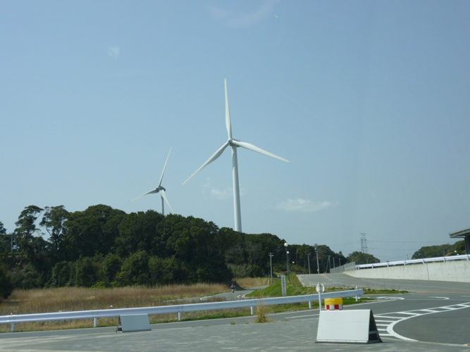 P1000343.jpg