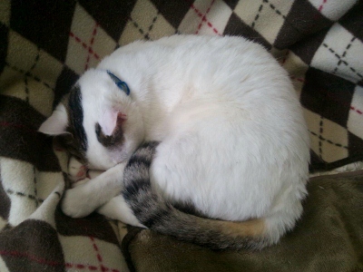 20120425_160524 (400x300)