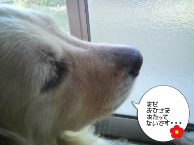 残念でした・・・