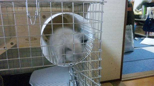 20110227お迎え直後