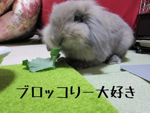 ブロッコリー大好き