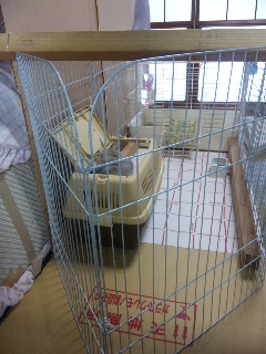 実家にて2
