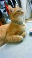 201004222201000.jpg
