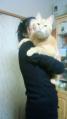 201201132014000.jpg