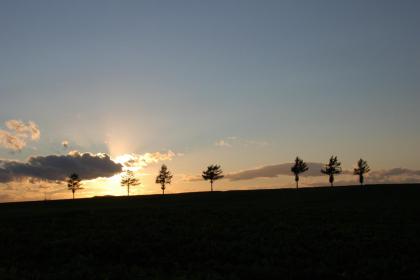 夕日
