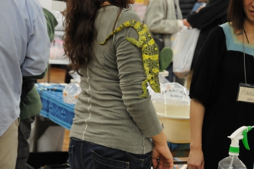 045_201312012247106e5.jpg