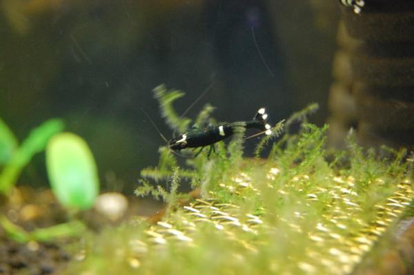 DSC_0579.jpg