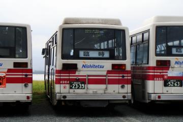 DSC02532.jpg