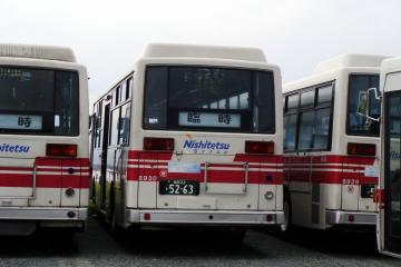 DSC02533.jpg