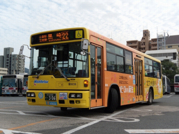 DSCN0981.png
