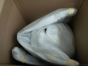 CAM00417.jpg
