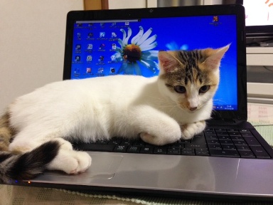 はな2