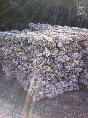 20130125_9.jpg