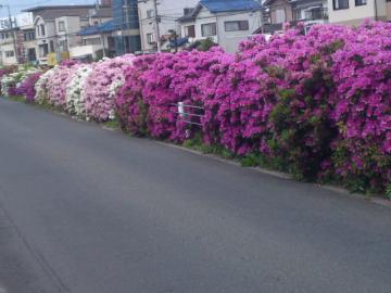 SN3O0001五月