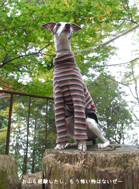 e110615.jpg