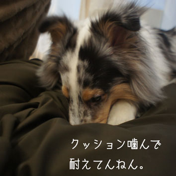 DSC02297_59040.jpg