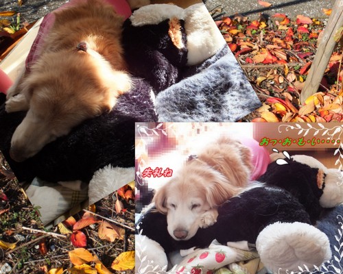 2013-12-006.jpg