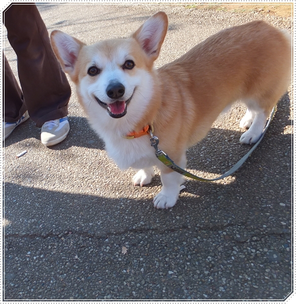 ふくちゃん