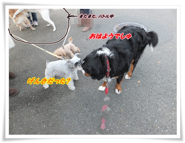 ベルちゃんにあいさつ