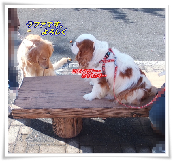 ごあいさつ