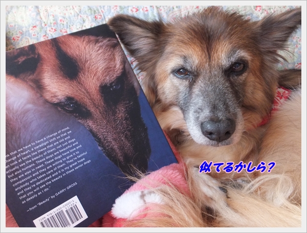 似てる?2