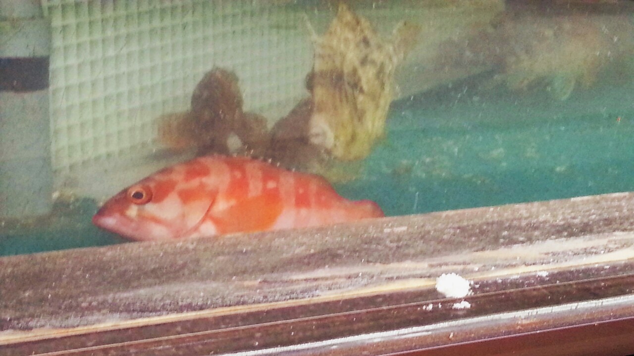 20140923144307577.jpg