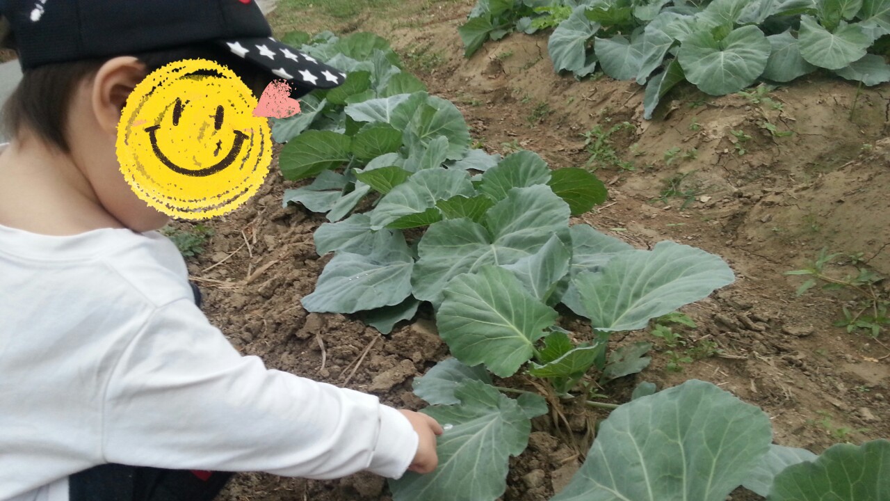 20140925131041285.jpg