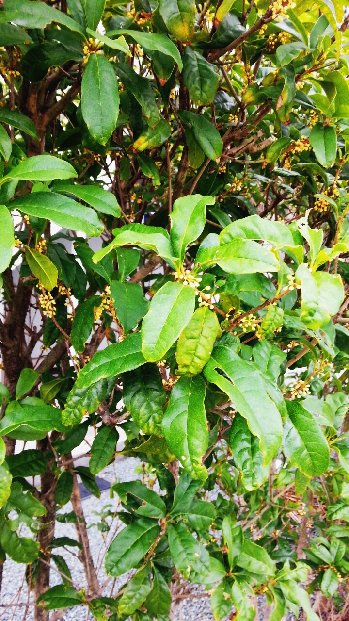 20140928071052167.jpg