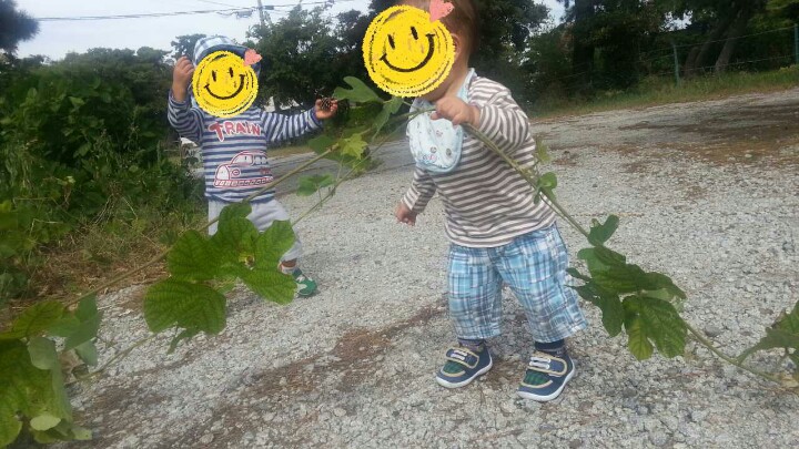 20141008220720637.jpg