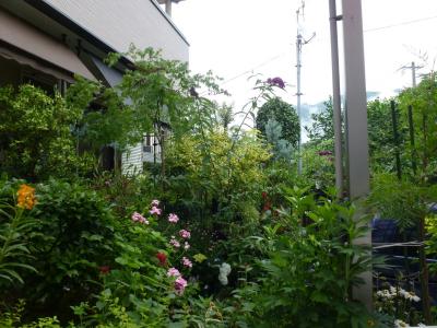 駐車場から風景 2013 6・15