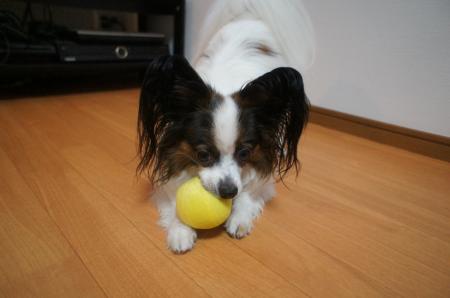 067_convert_20110807000250.jpg