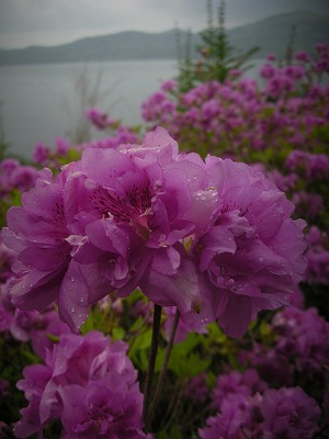 DSCN9843.jpg