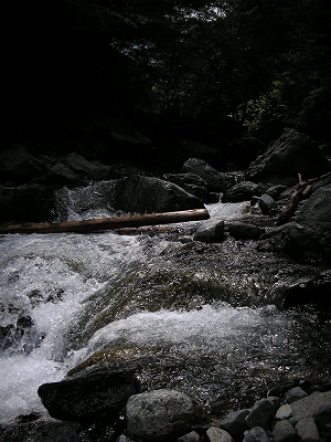 DSCN9988 (3).jpg