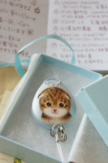 ねこちゃんのプティです。