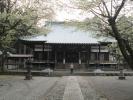 北山本門寺の桜