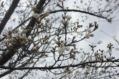 IMG_1041_convert_20120403161554.jpg