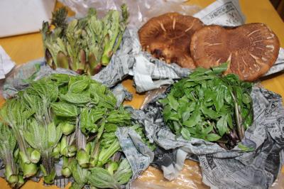 IMG_1580_convert_20120506205342.jpg