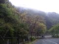 moblog_10b931a1.jpg