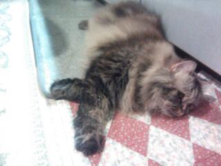20131204_215559.jpg