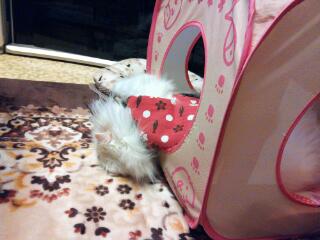 20131207_230704.jpg
