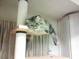 20131214_035456.jpg