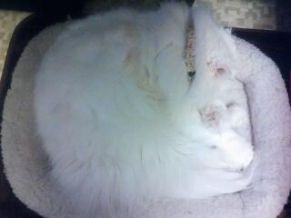 20131219_000417.jpg