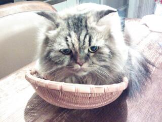 20131224_222018.jpg