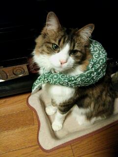 20131226_235501.jpg