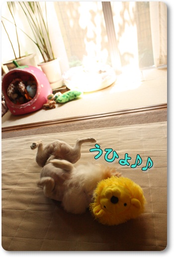 どこ8