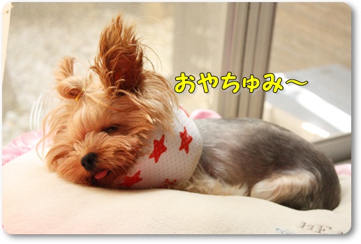 でんち13
