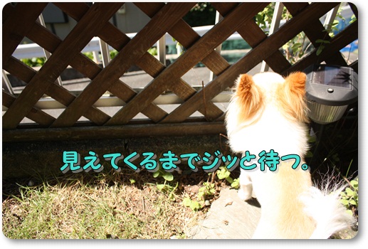 まんきつ10